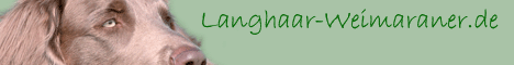 BannerLH BannerLH